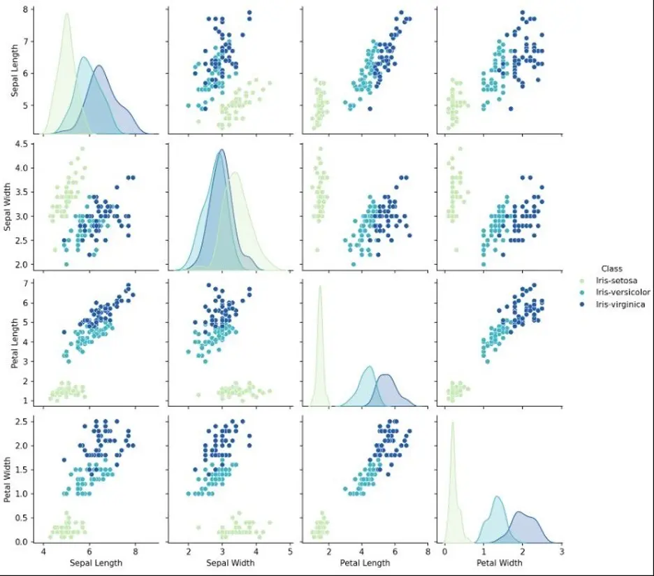 Iris data pairs plot